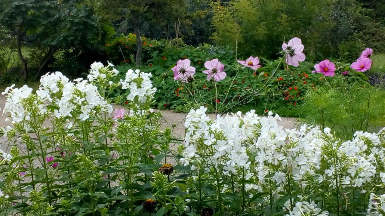 Aghalee Lisieux House On Lough Neagh Bed & Breakfast エクステリア 写真