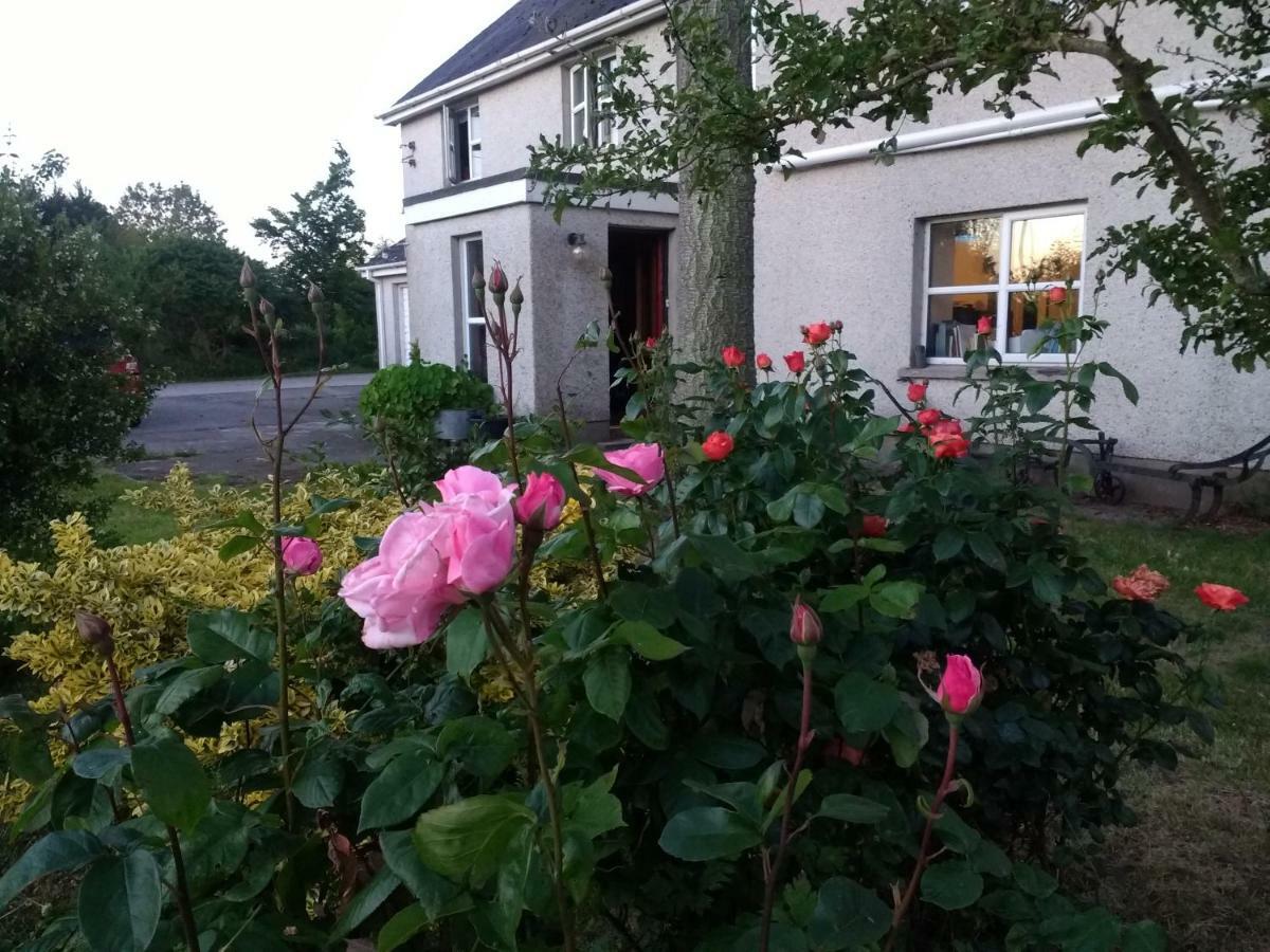Aghalee Lisieux House On Lough Neagh Bed & Breakfast エクステリア 写真