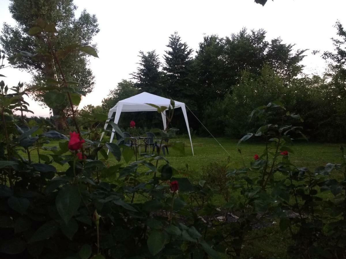 Aghalee Lisieux House On Lough Neagh Bed & Breakfast エクステリア 写真